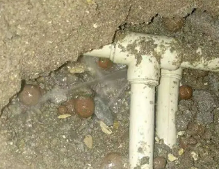 凤凰卫生间测漏