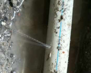 凤凰卫生间测漏水多少钱