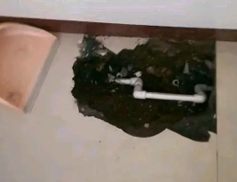 凤凰卫生间测漏水多少钱